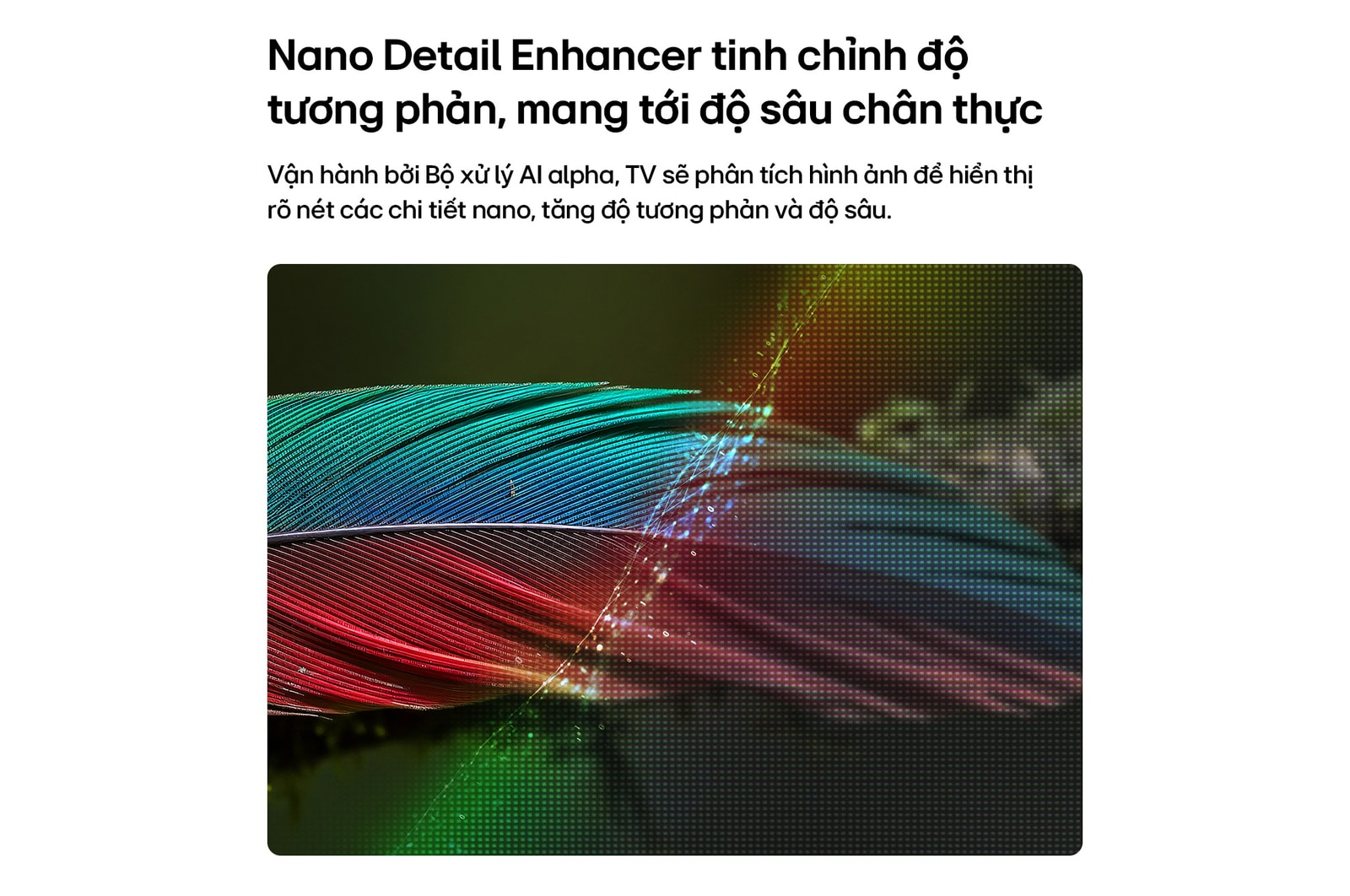 LG NANO 4K UHD AI NU85 with Nano Detail Enhancer shows a feather image, powered by the alpha AI Processor that detects fine textures to enhance contrast and depth and deliver a clearer, more three-dimensional 4K picture.